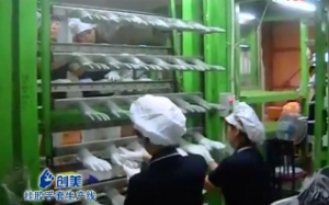 浸膠手套生產(chǎn)線視頻 手套浸膠機(jī)生產(chǎn)勞保膠手套全過程